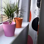 Sedinum - Brama Portowa Appartement *