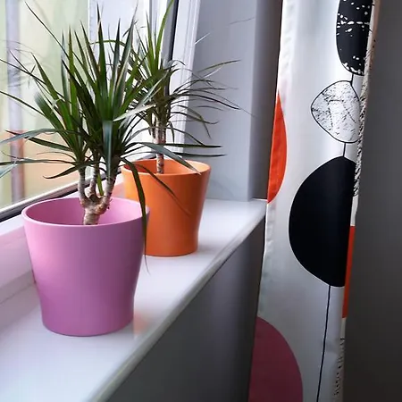 Sedinum - Brama Portowa Apartmán *