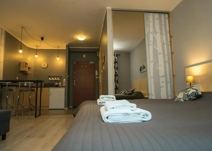 Sedinum - Brama Portowa *